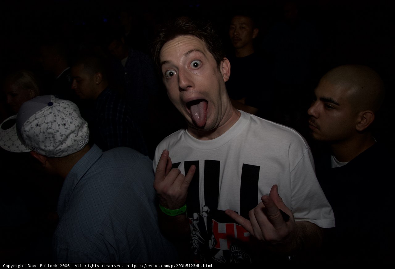 Party Rockin'