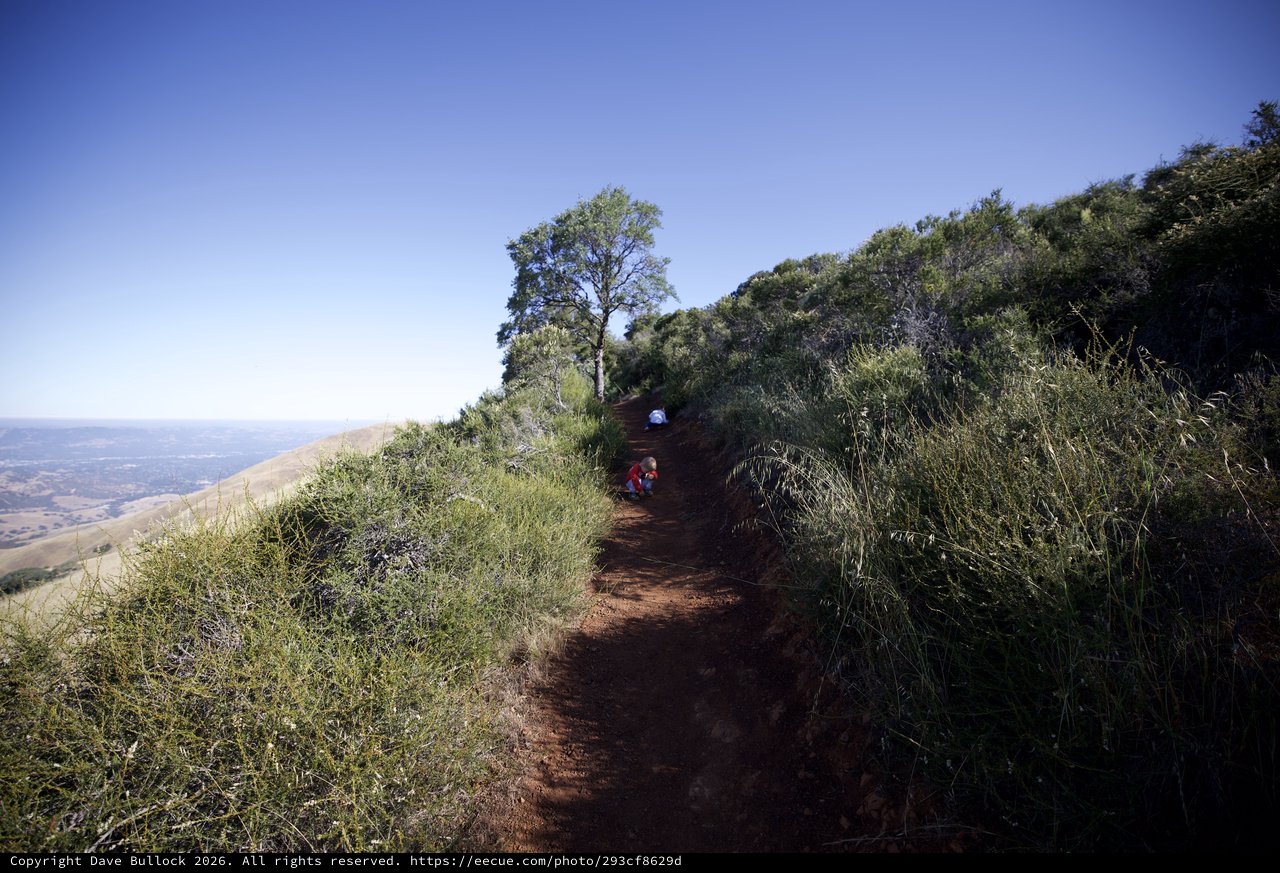 Children Exploring a Ridge Trail on Mount Diablo