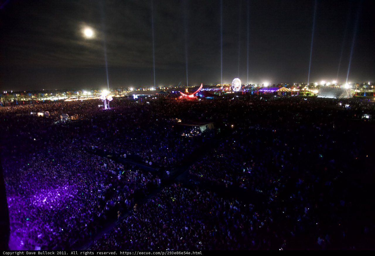 Moonlit Madness