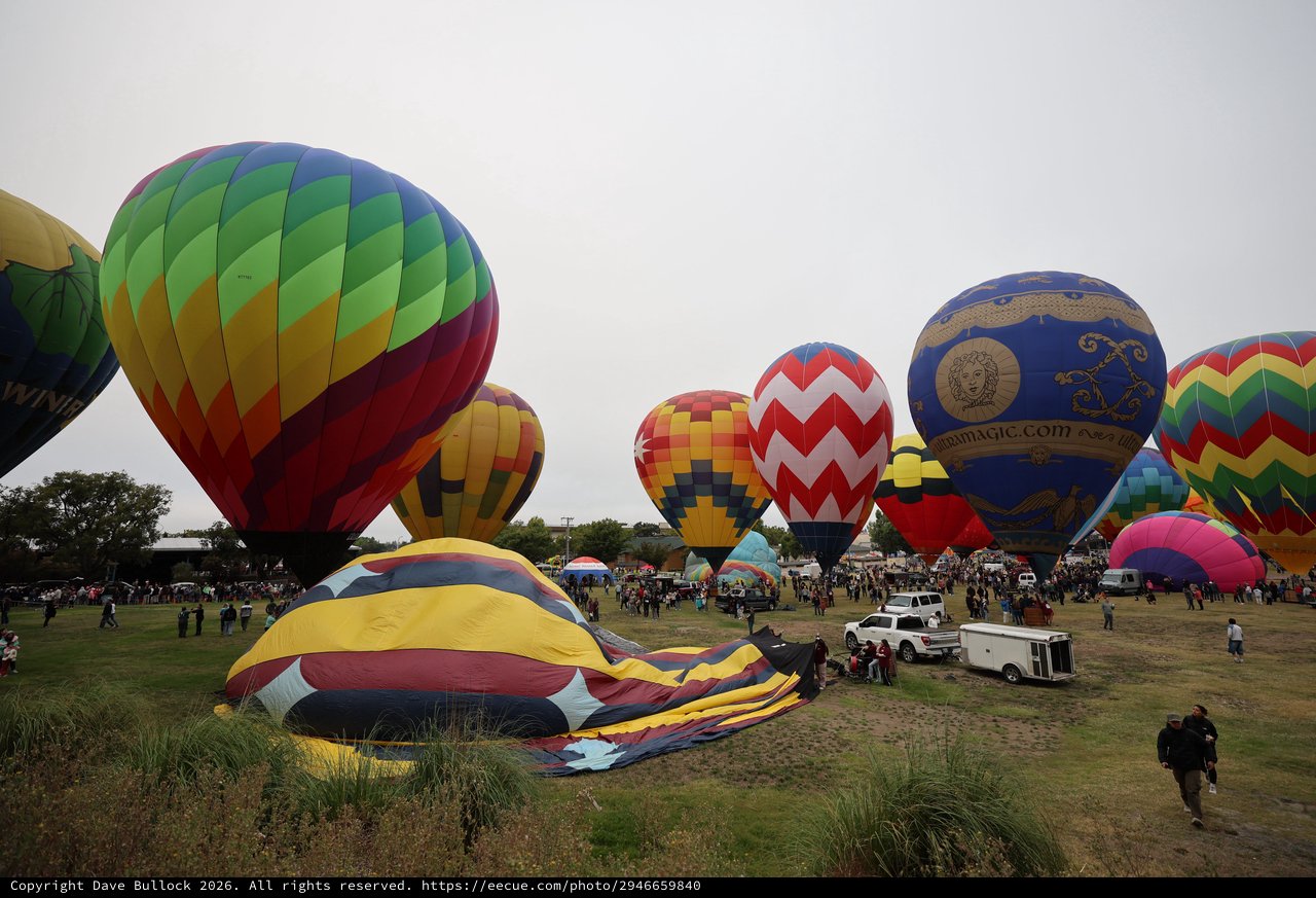 Colorful Hot Air Balloons Fill the Morning Sky