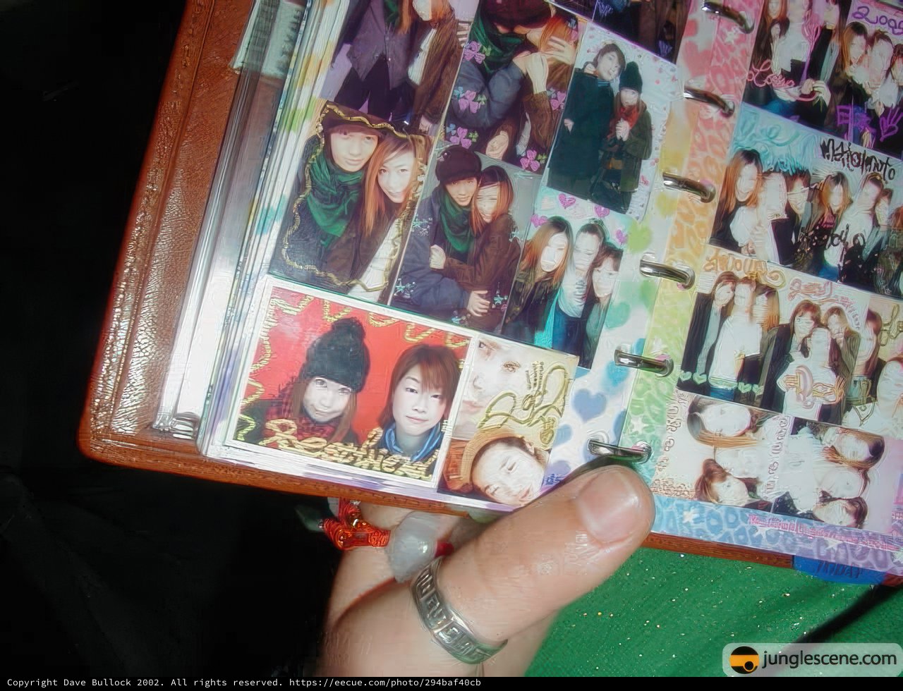 Picture Book of Girls