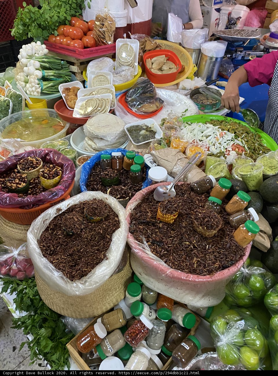 Market Food Preparer