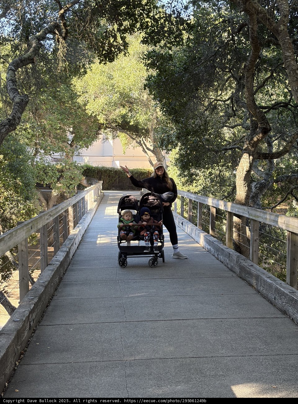 Strolling Through Nature's Path