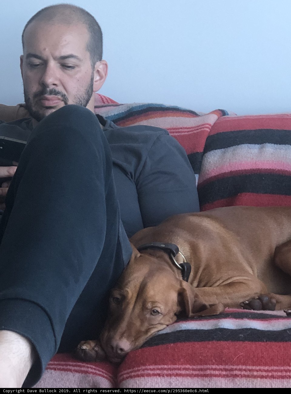 Man's Best Friend