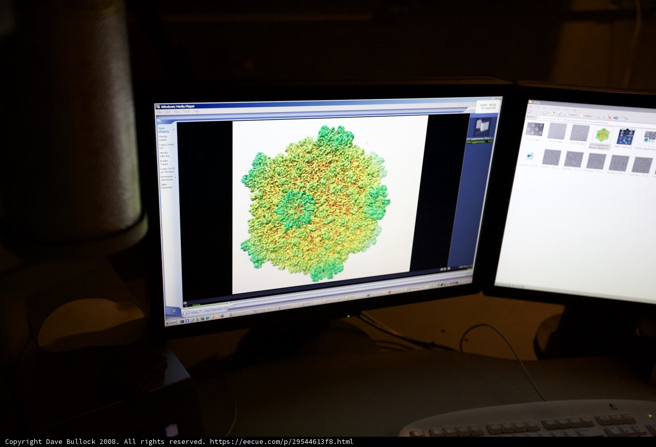 Dual Computer Monitor Display