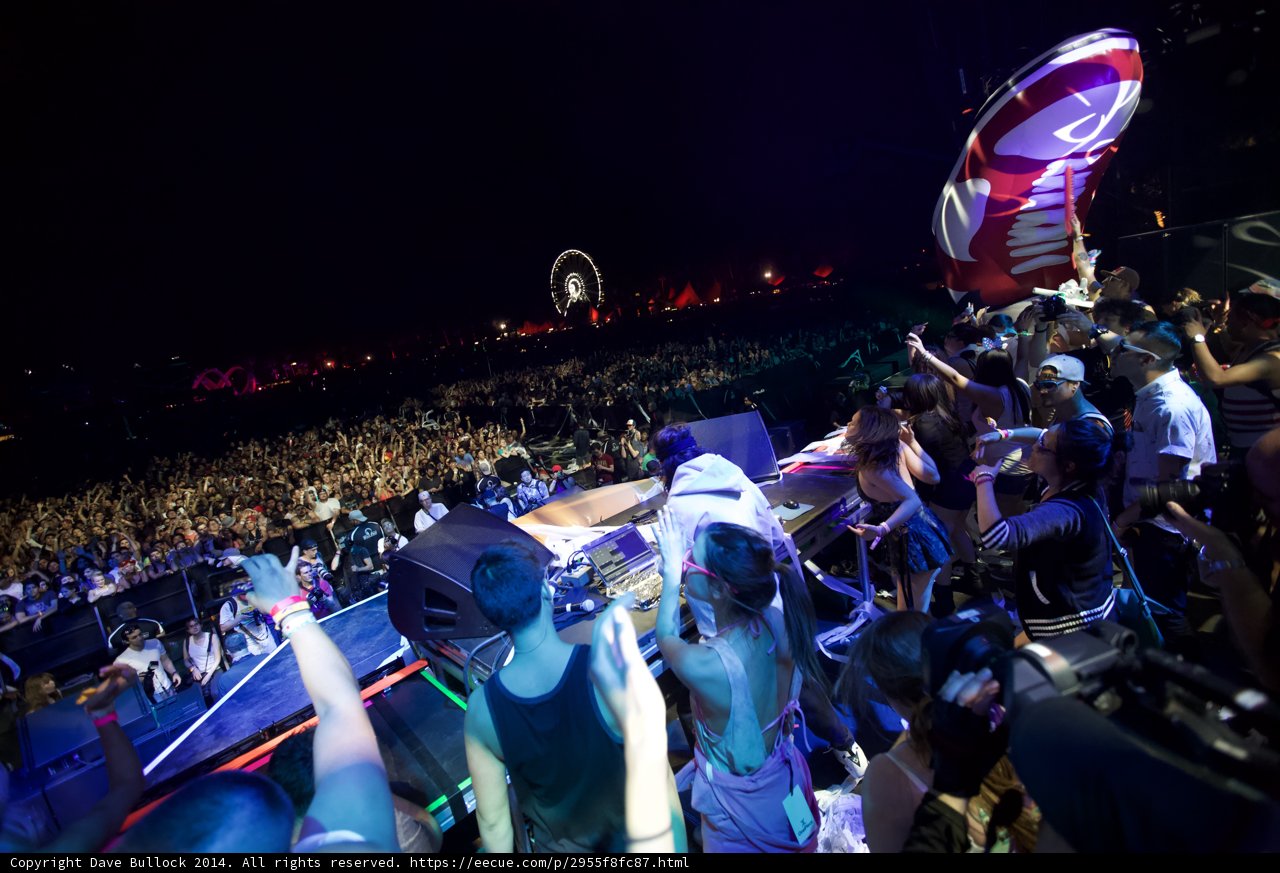 Euphoric Concertgoers Under the Starry Night Sky