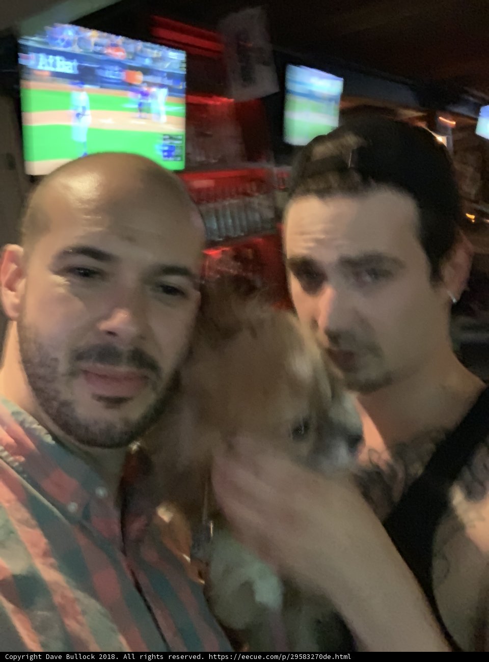 Two Men and a Canine in a City Bar