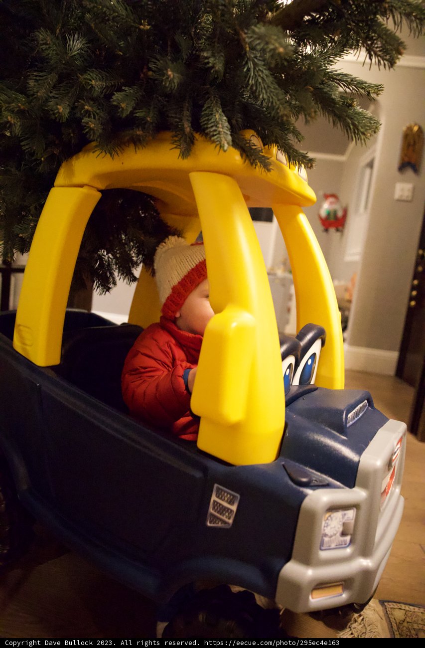 Festive Reverie - Wesley's Christmas Surprise