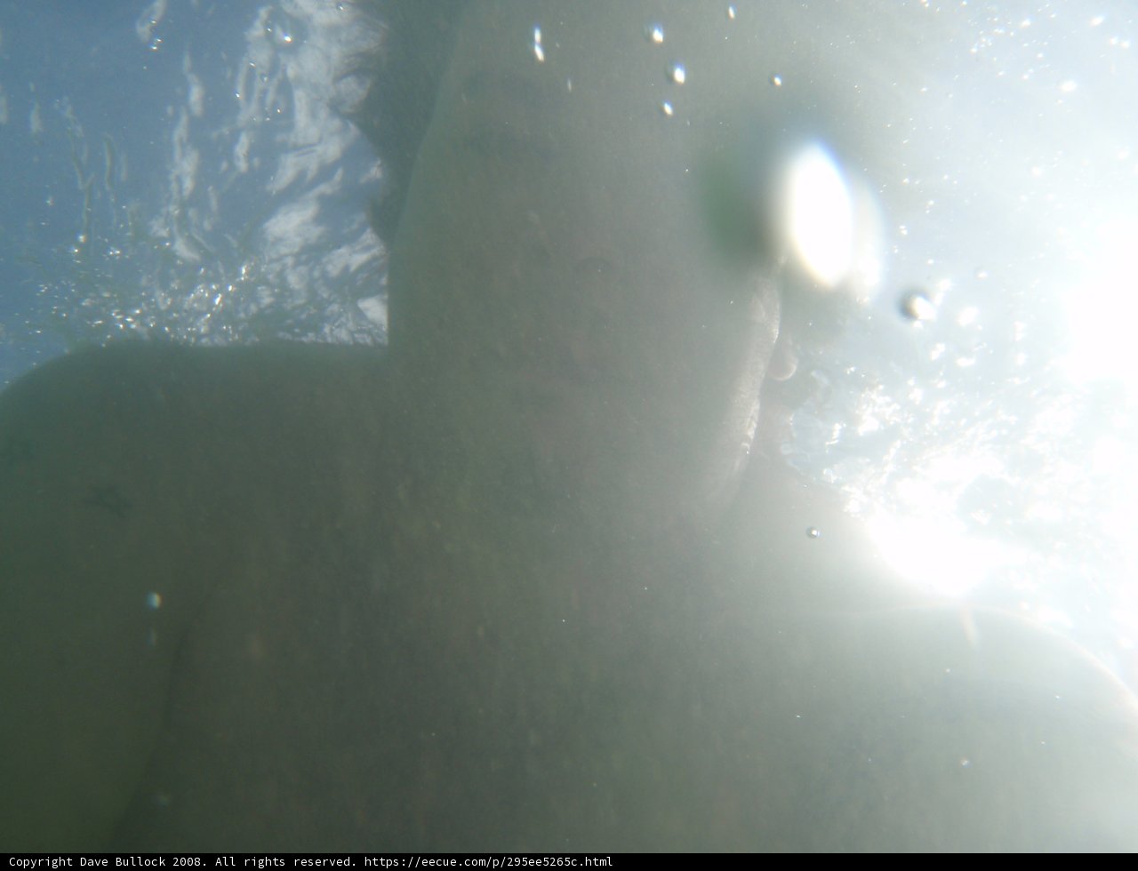 Diving into Nature's Flare