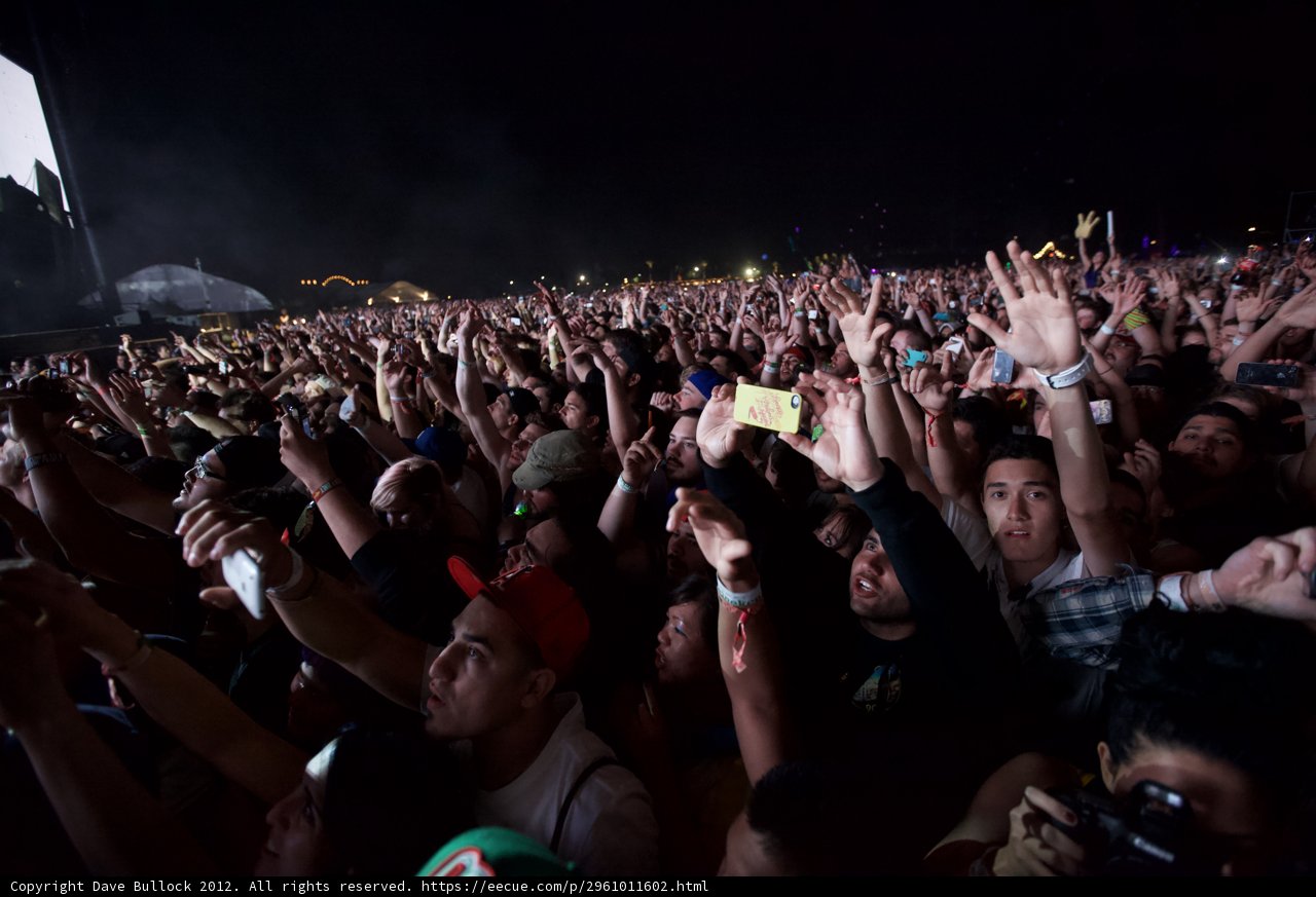 Euphoric Crowd at Coachella 2012