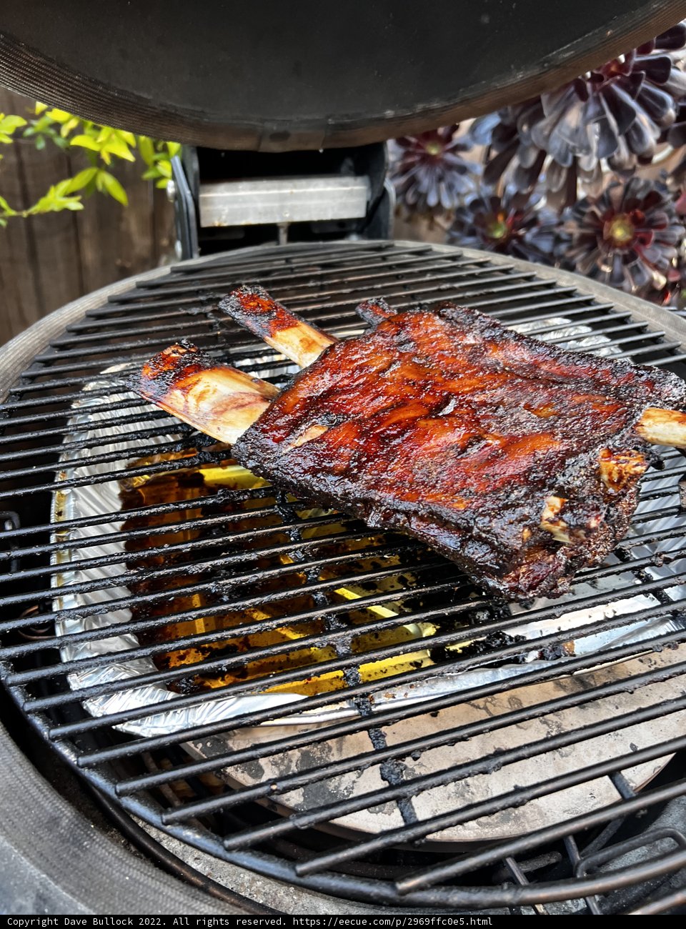 BBQ Spareribs on the Grill