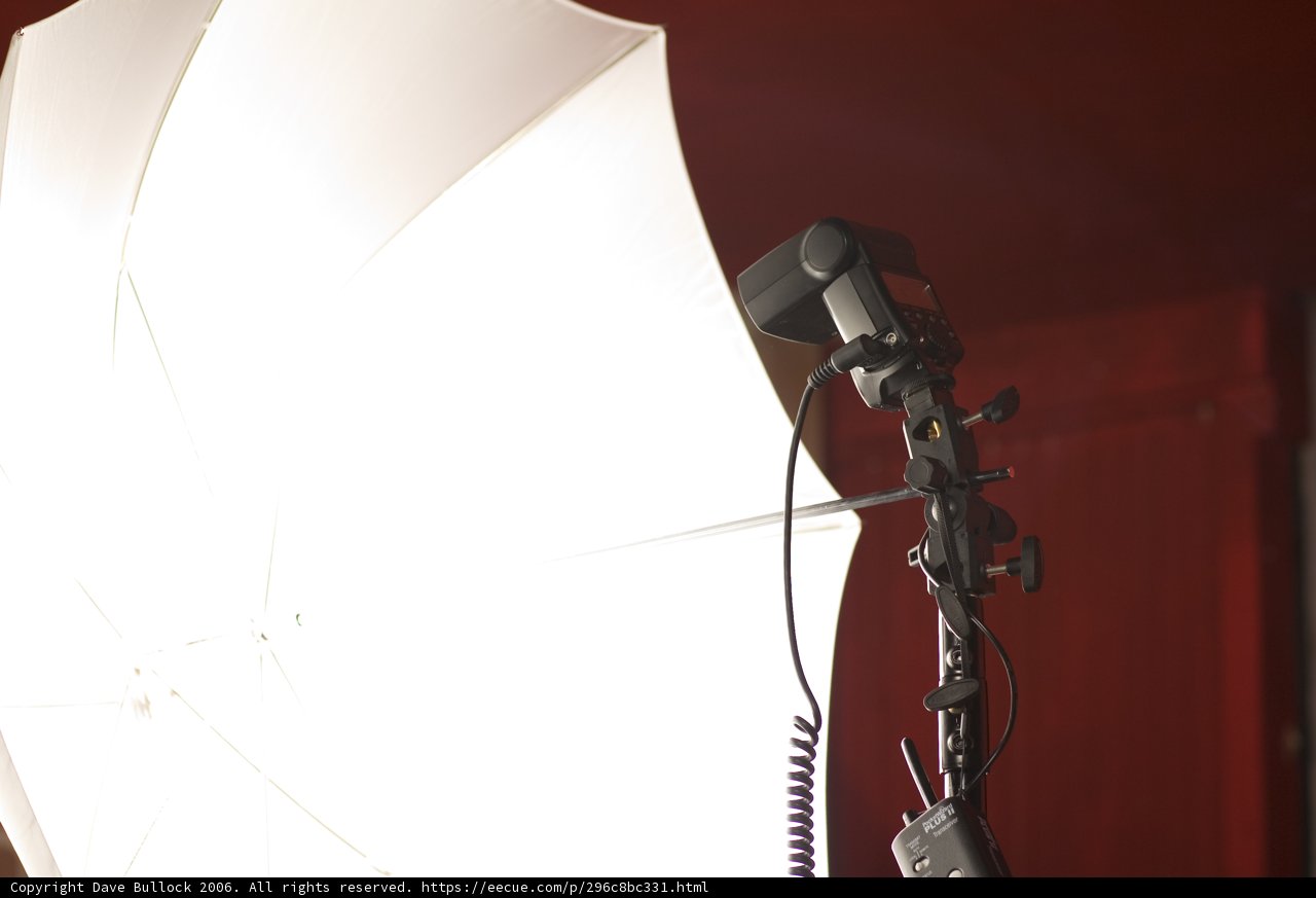 My Canon 580EX w/ PocketWizard