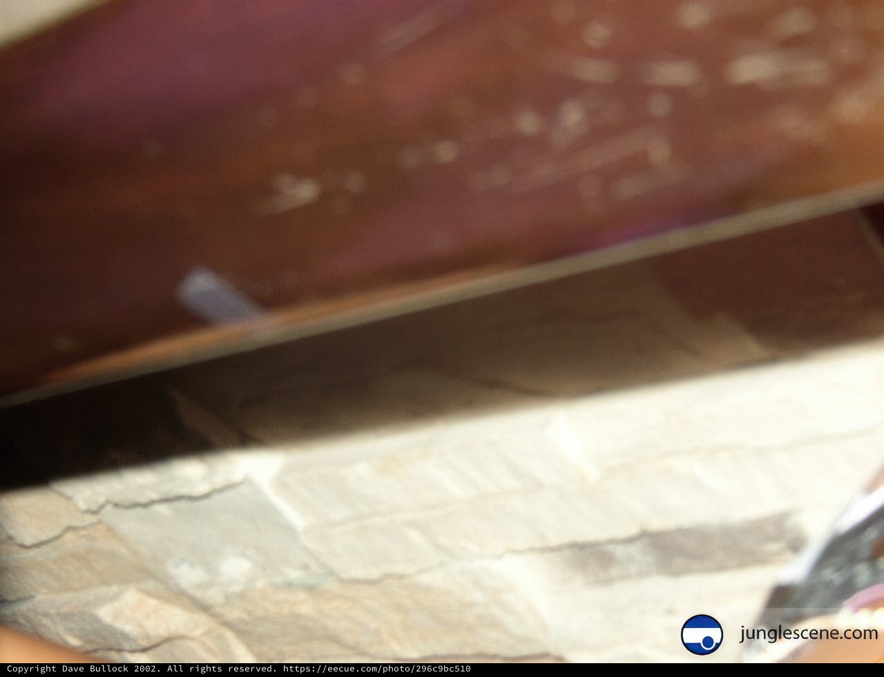 Reflections in Plywood