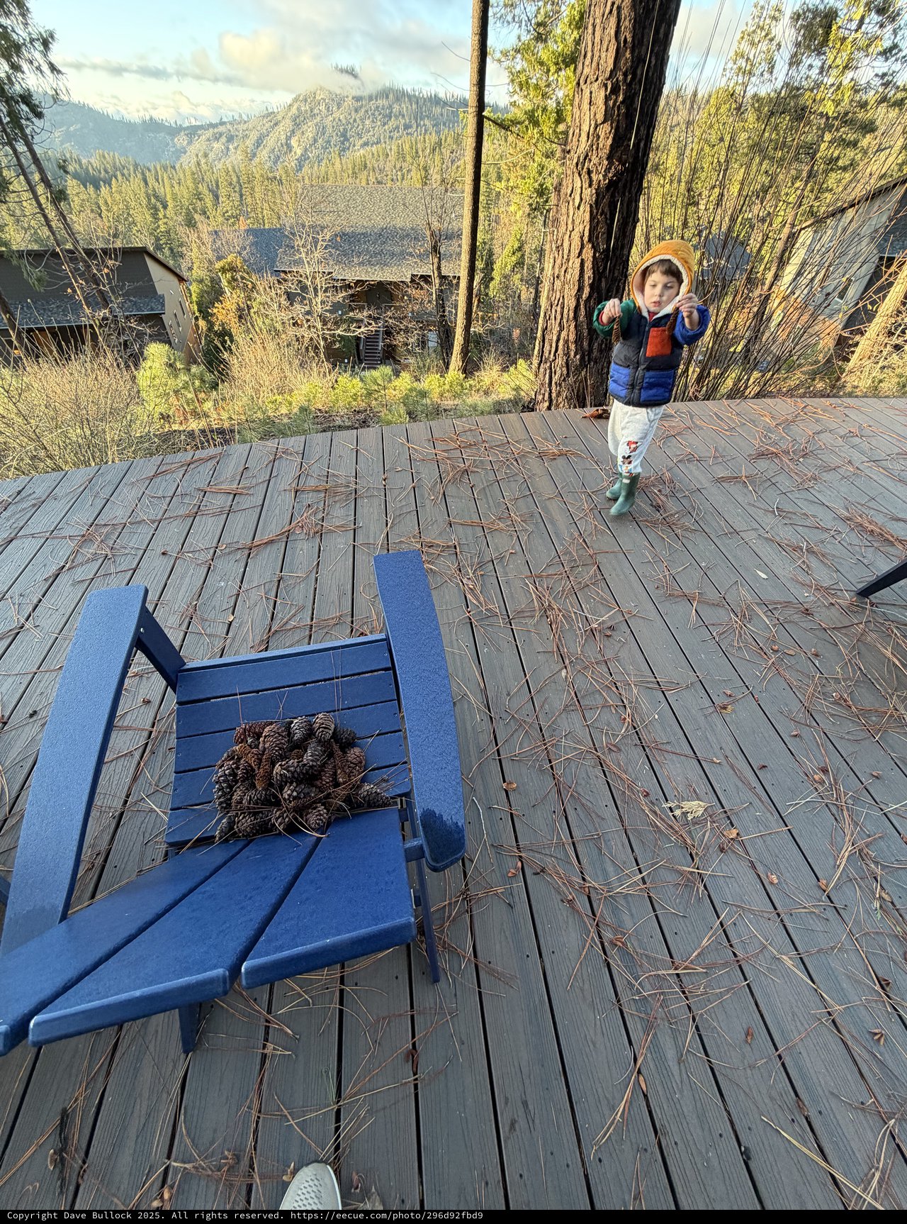 Young Explorer on Mountain Cabin Deck at Dusk