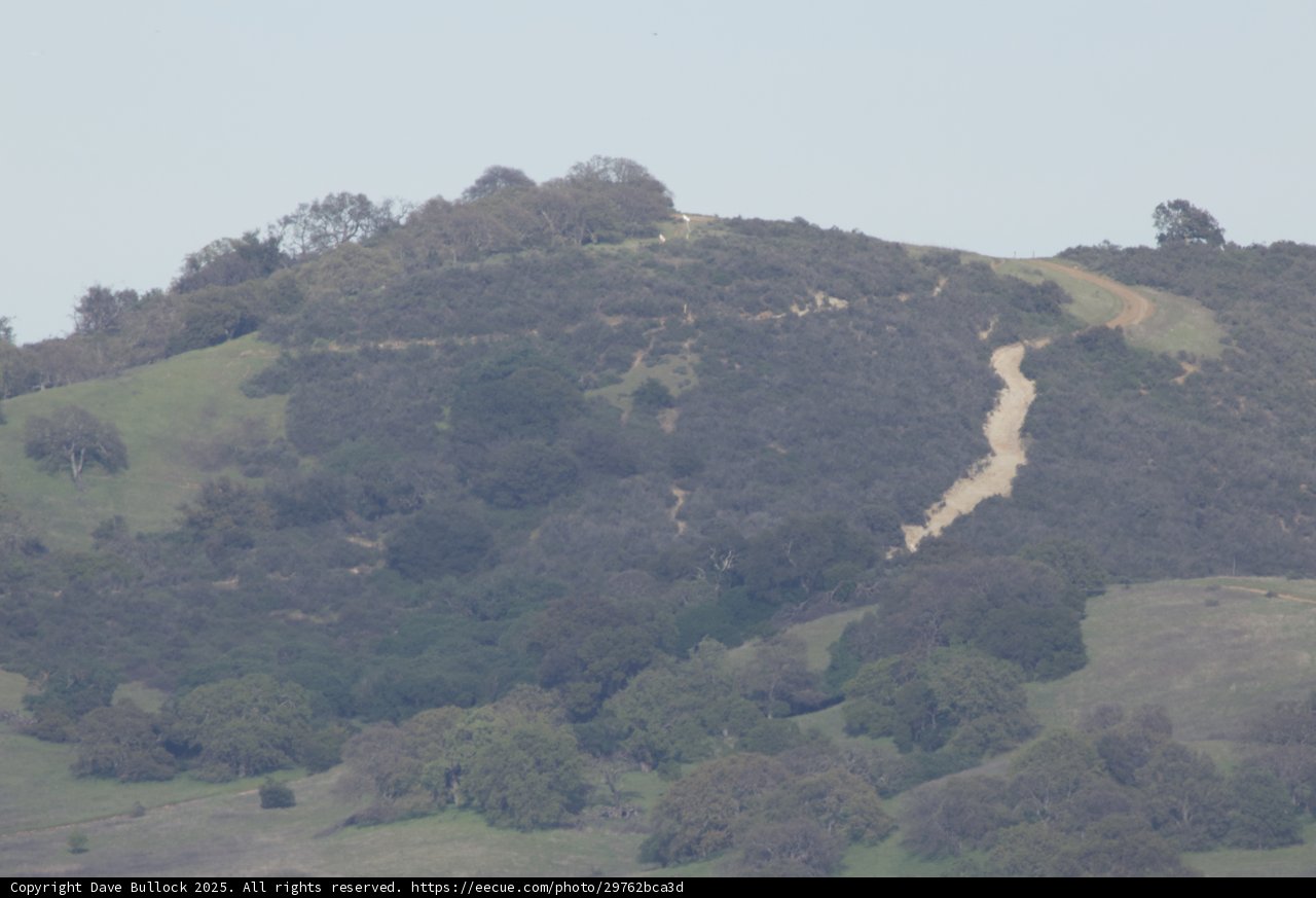 Rolling Hills of the Countryside