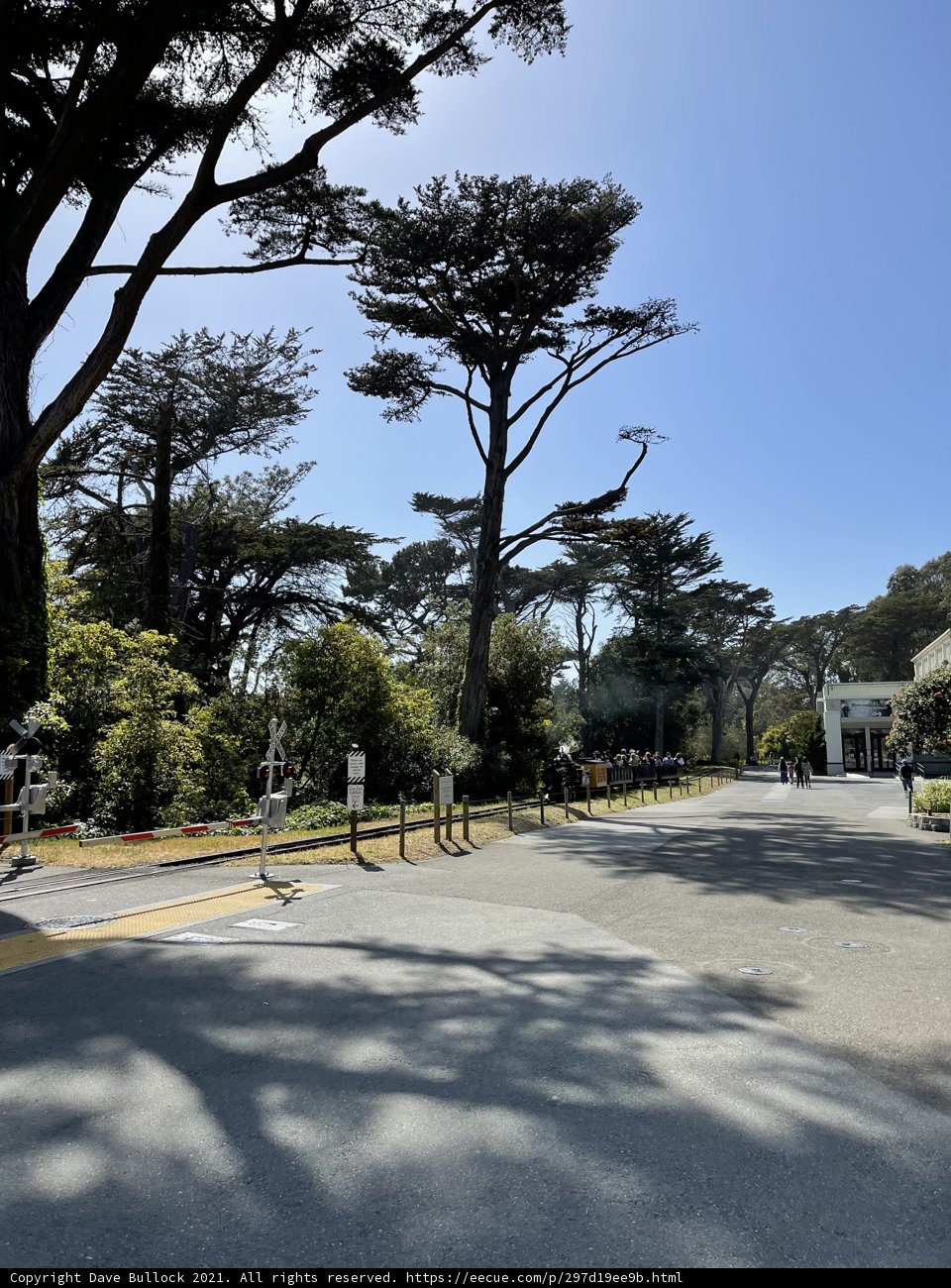 Urban Street Scene in San Francisco