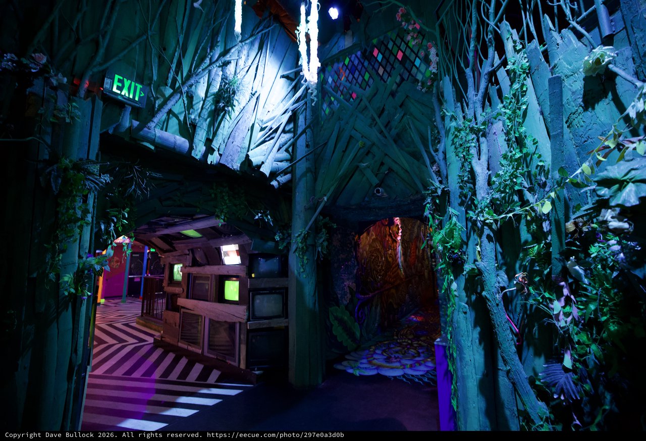 Immersive Fantasy Themed Interactive Installation Interior