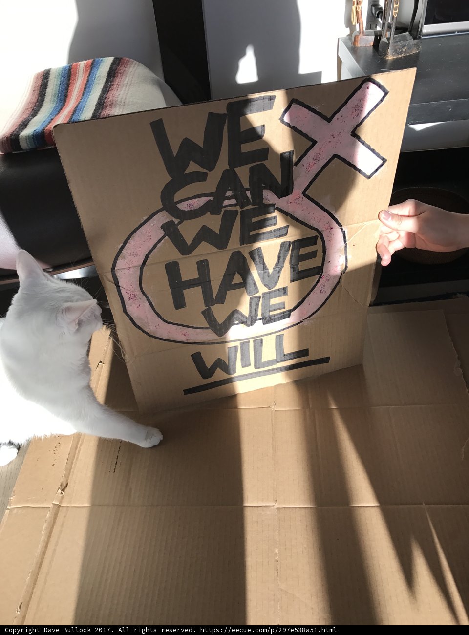Feline Supporter