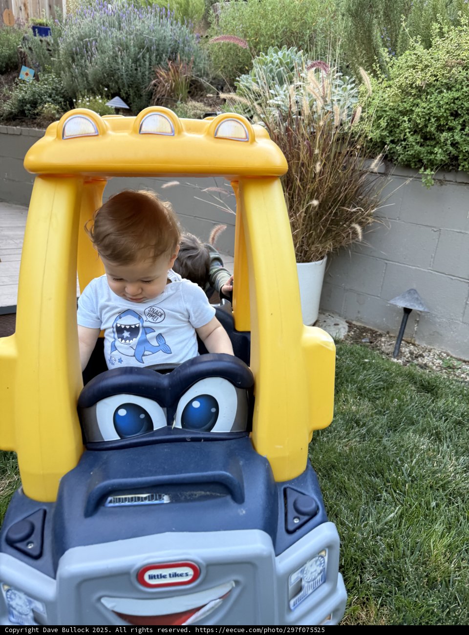 Backyard Adventures in a Toy Car