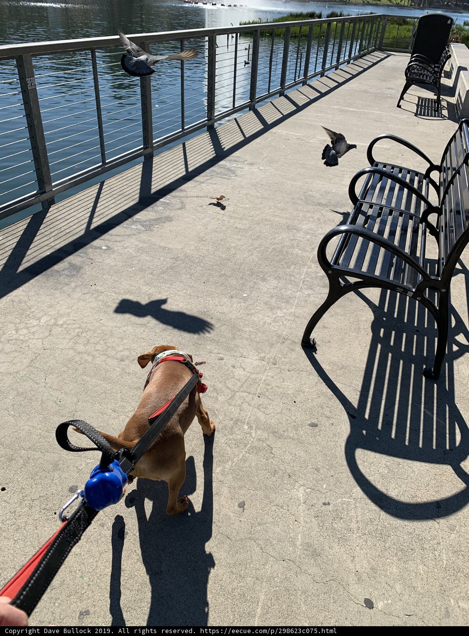 Riverside Stroll