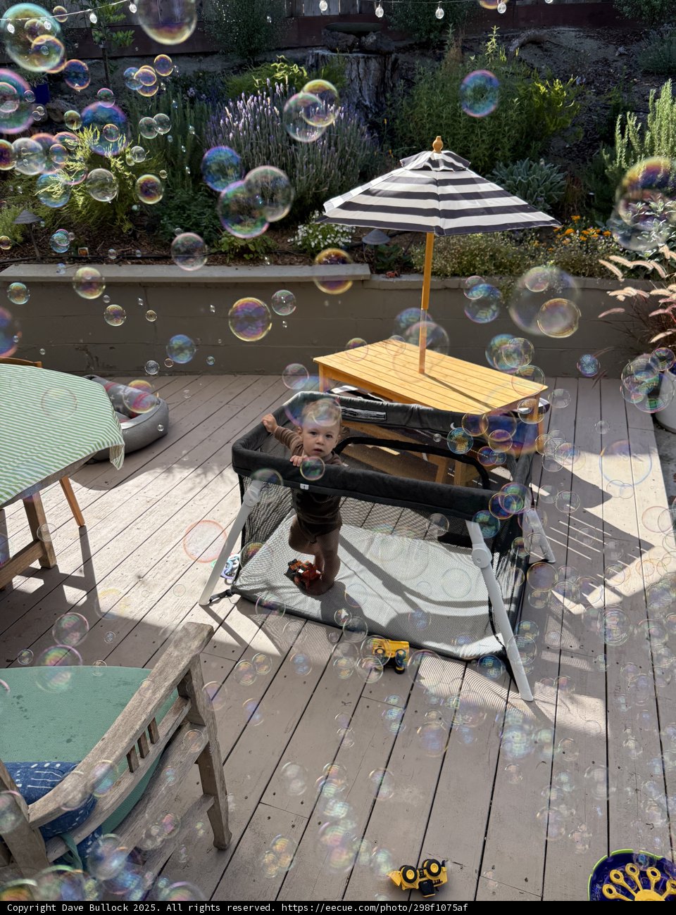 Summer Bubbles