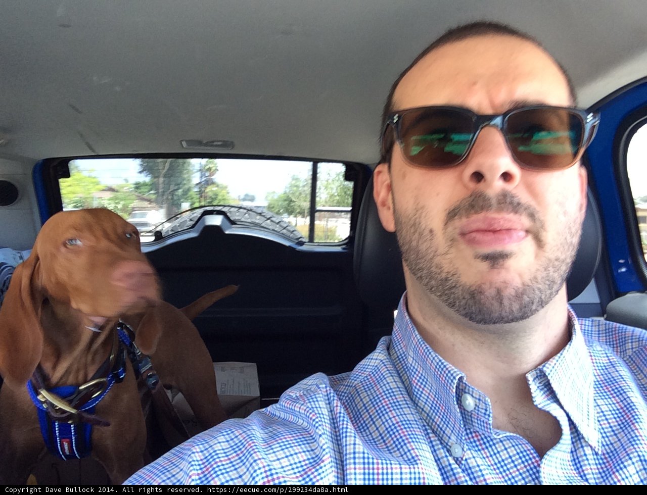 Joyride with my Pup