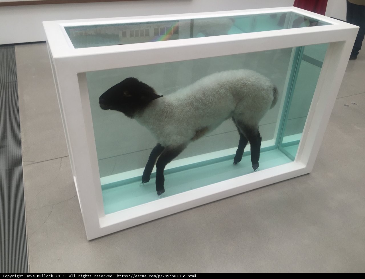 Sheep in a Glass Cage
