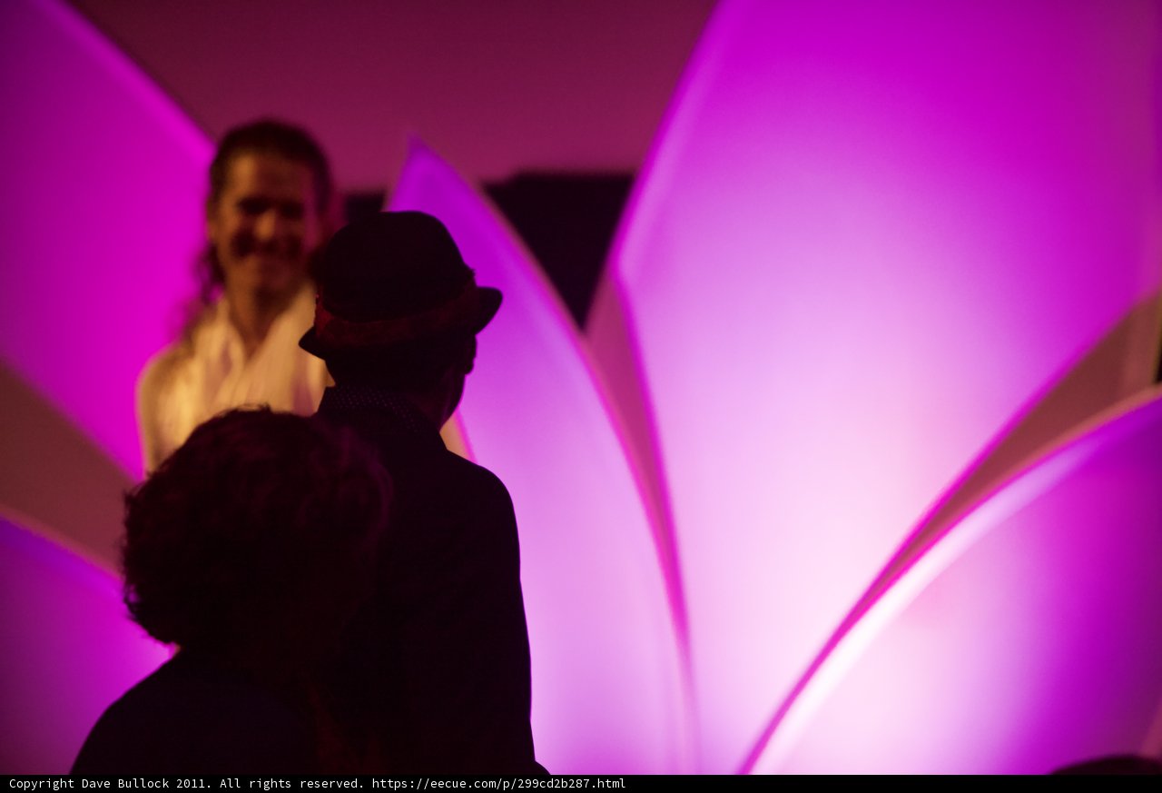 Dancing in the Purple Light