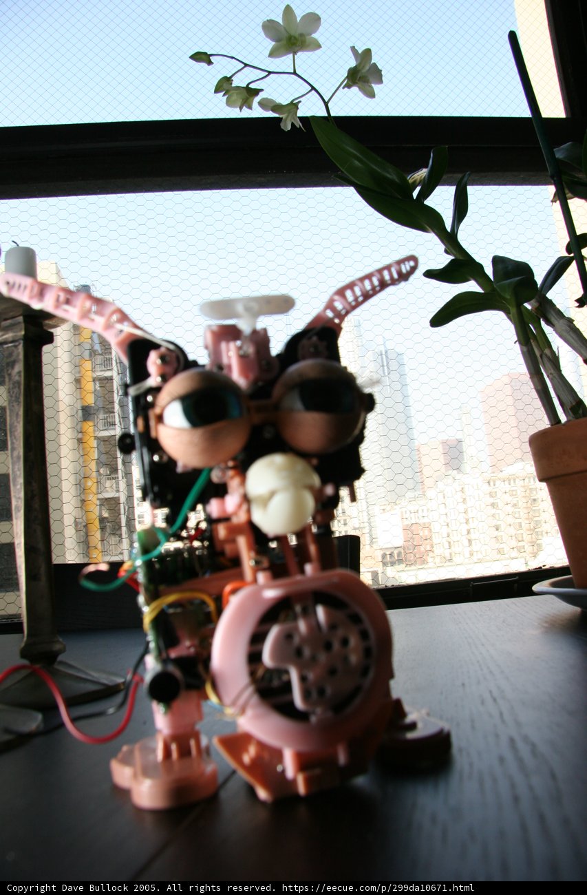Botanical Buddy