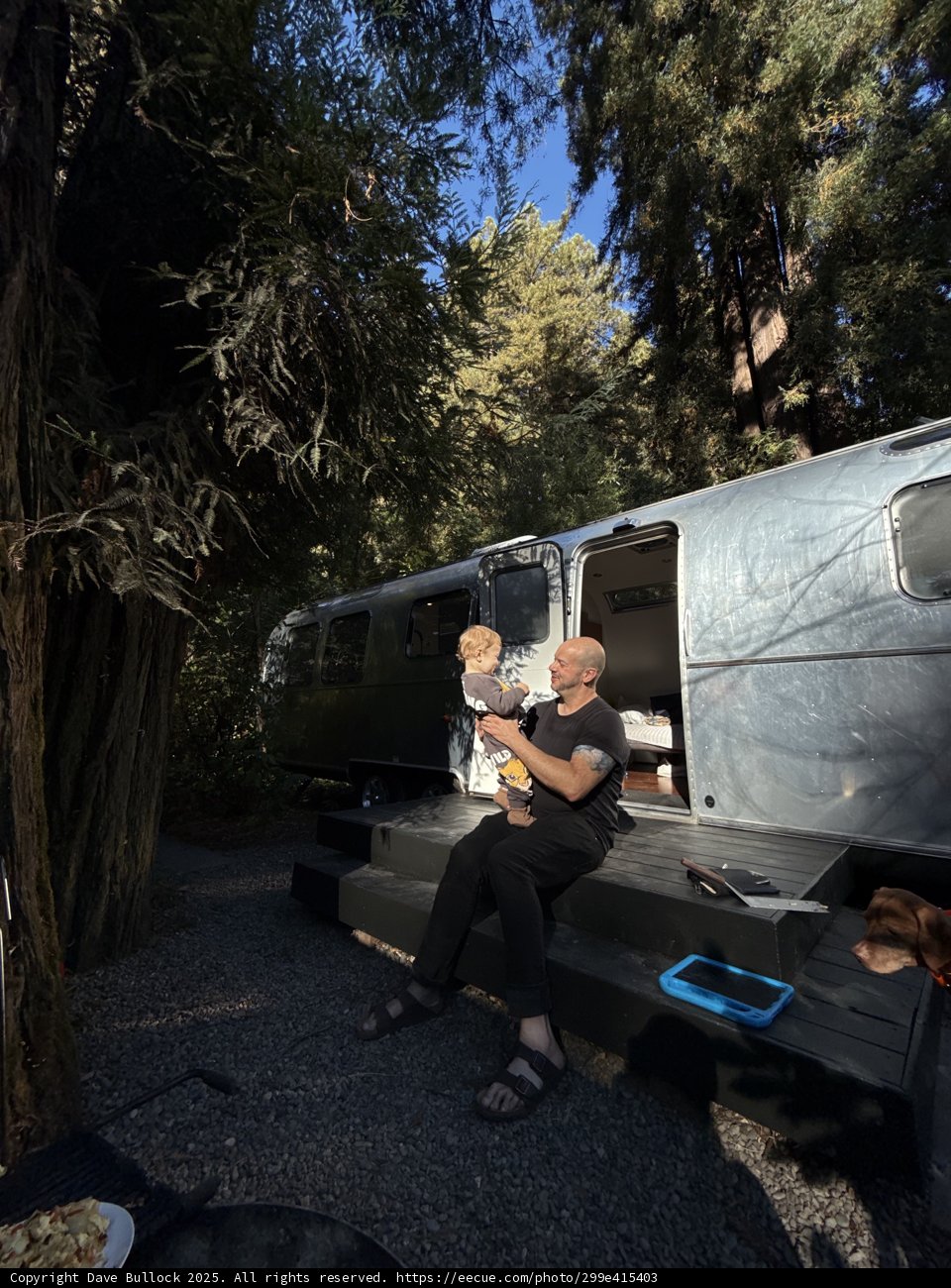 Morning Moments in the Redwood Grove