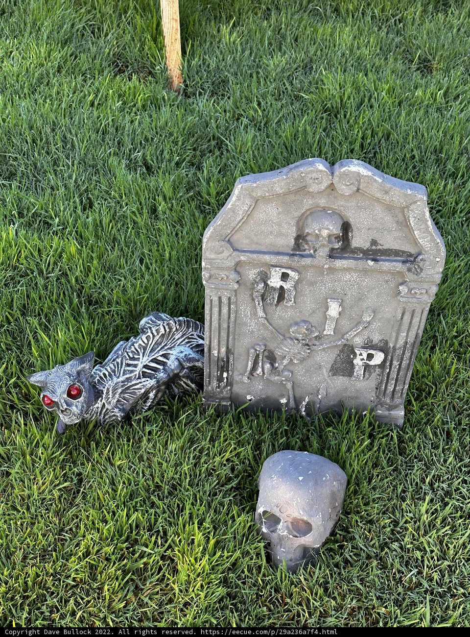 Tomb of the Skull and Bird