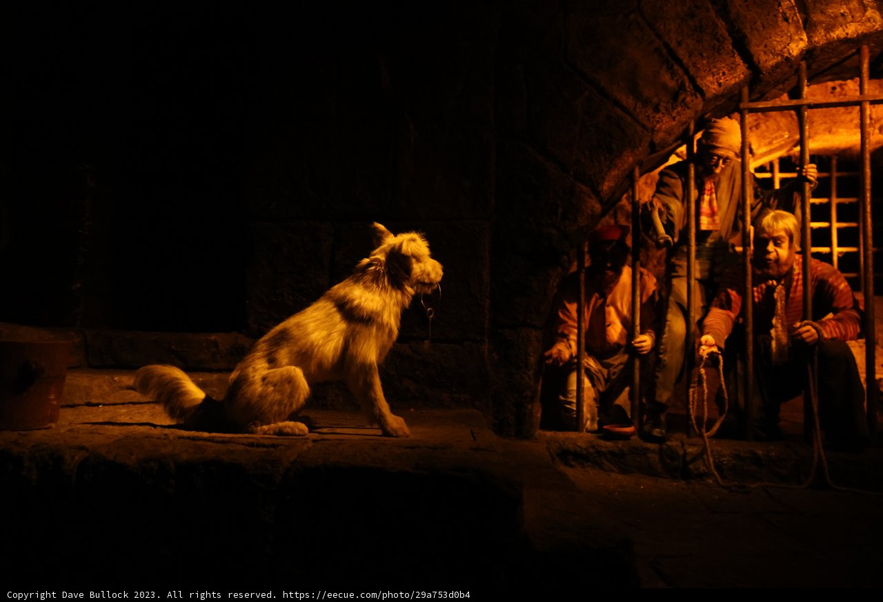 Companions in the Dark