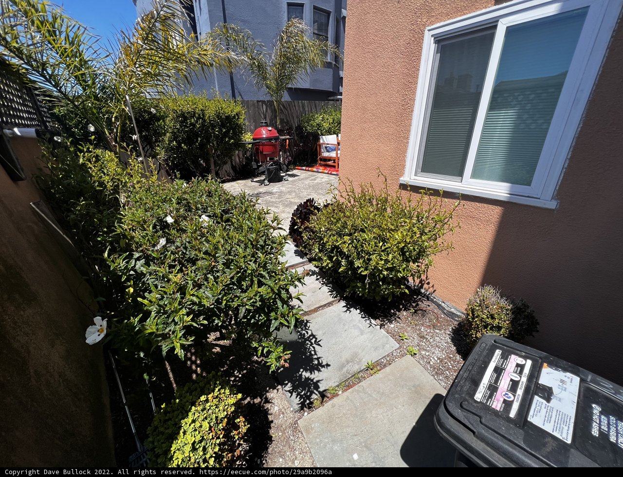Backyard Clean Up