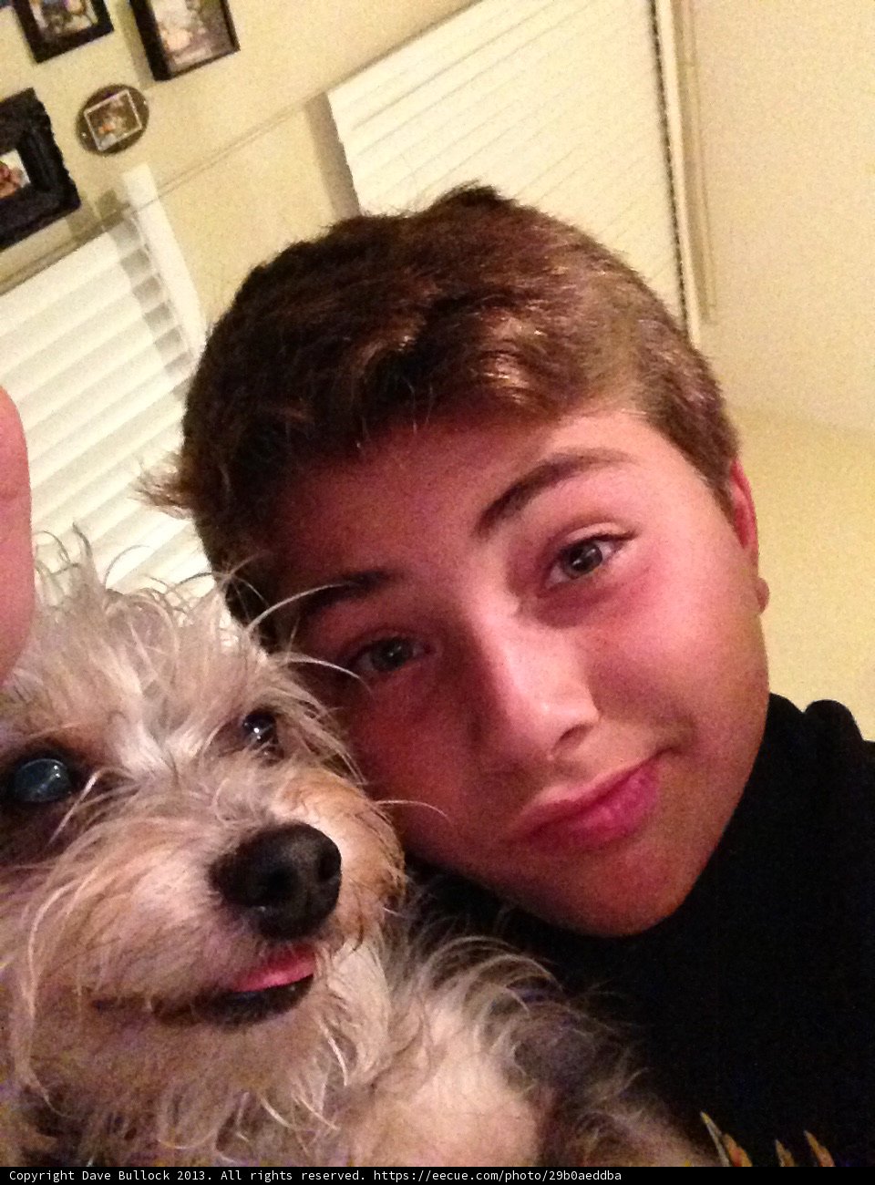Unforgettable Companionship