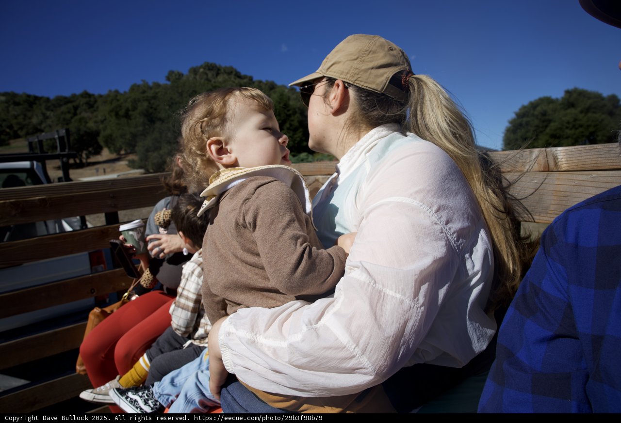 Sunshine and Snuggles in Carmel Valley