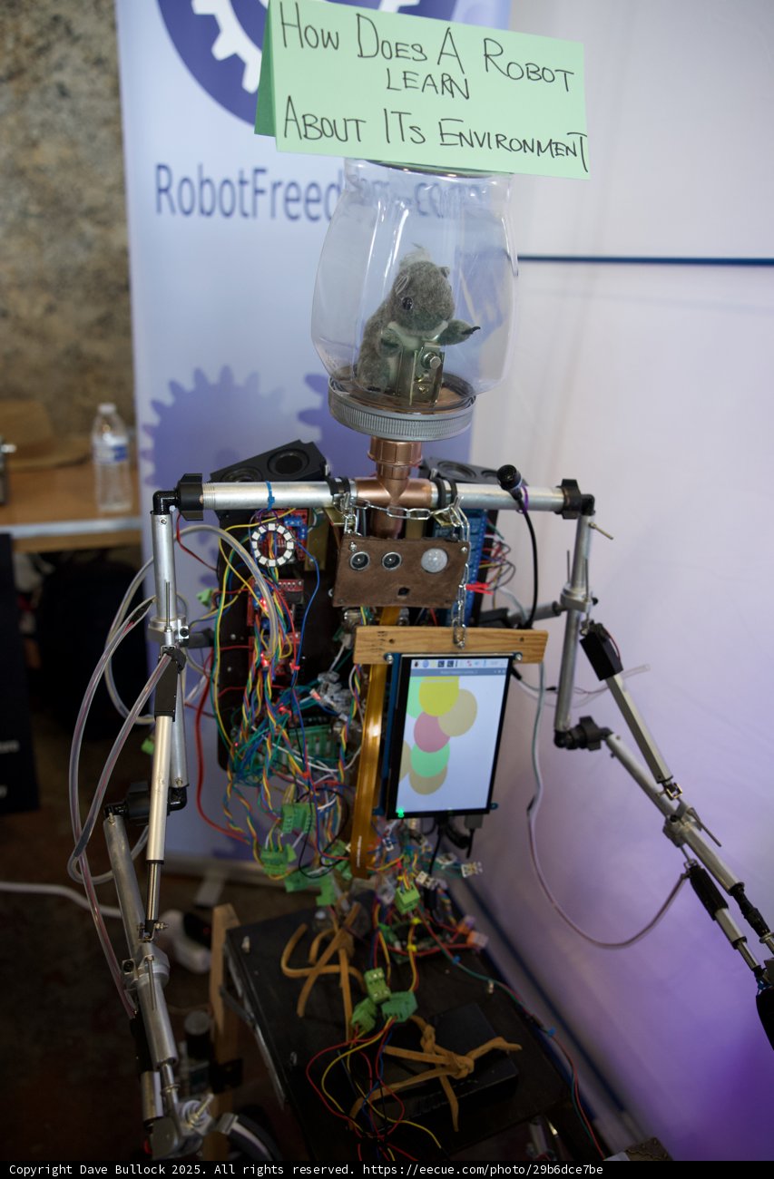 Robotic Curiosity at Maker Faire 2025