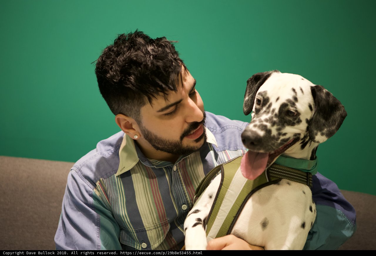 Man and his Dalmatian