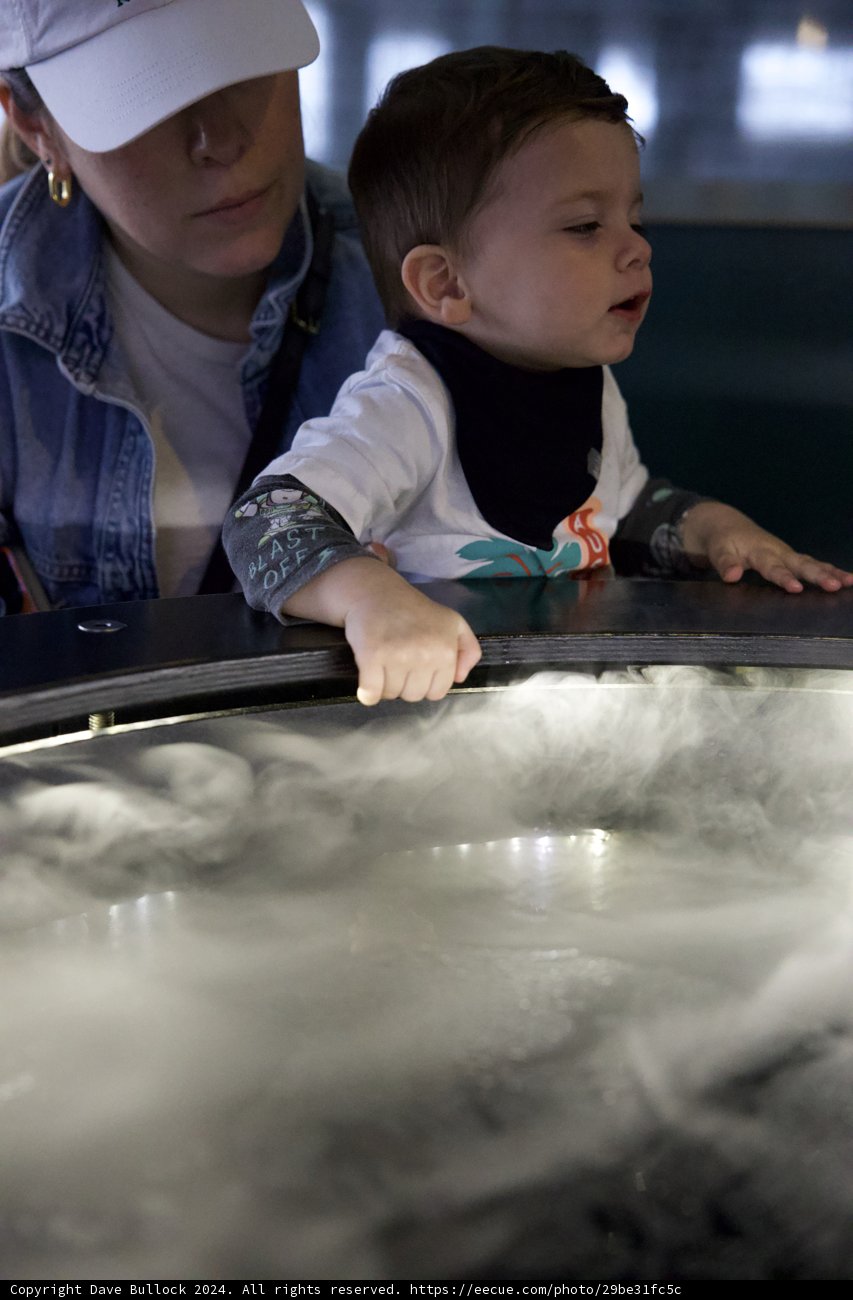 Exploring Ocean Life at the Exploratorium