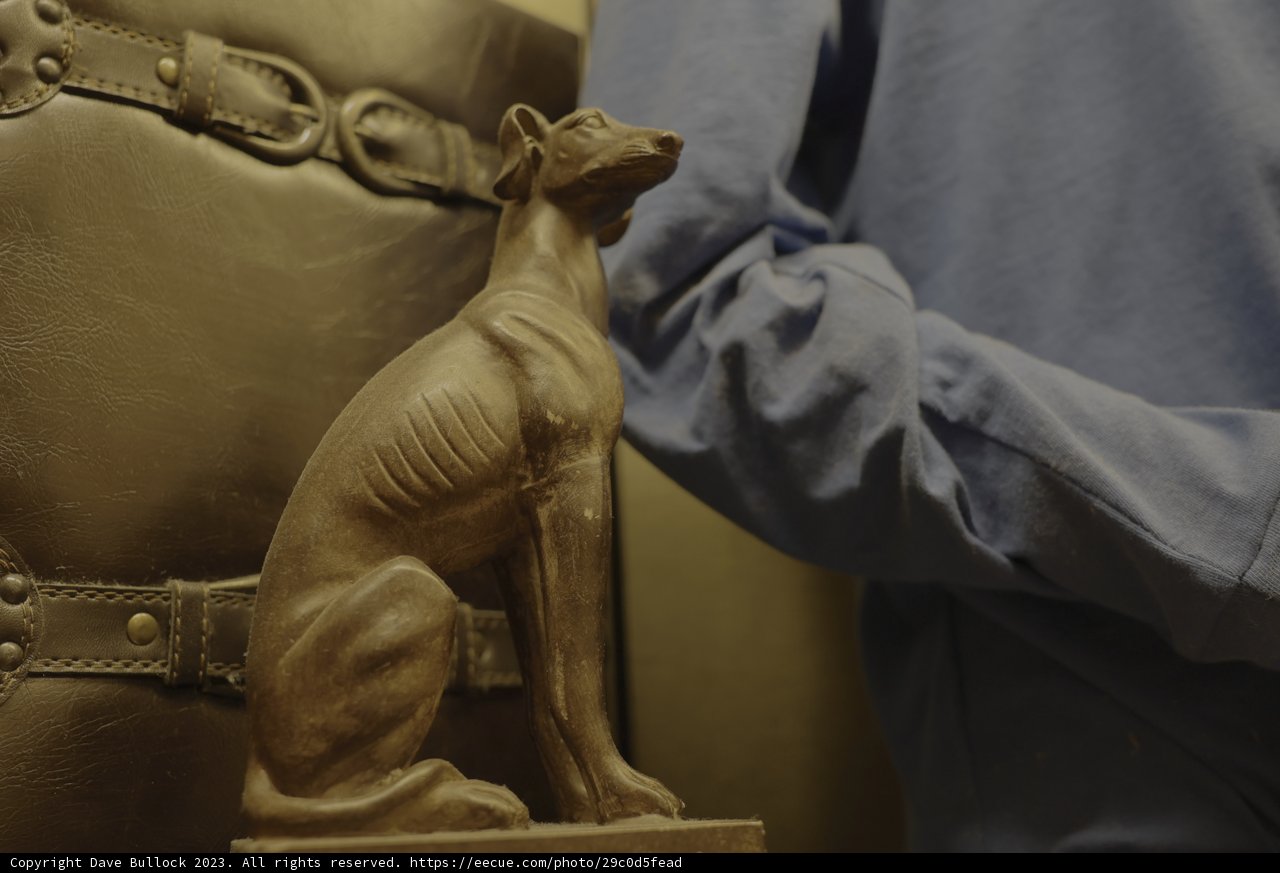 The Man and His Faithful Companion