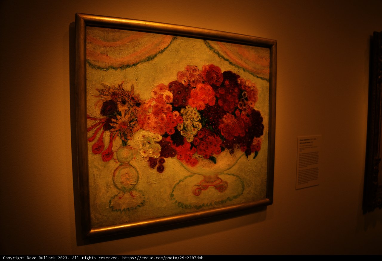 Dahlia and Geranium Blooms: A Modern Floral Study