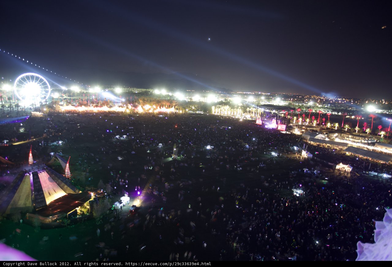 Concert Under the Night Sky