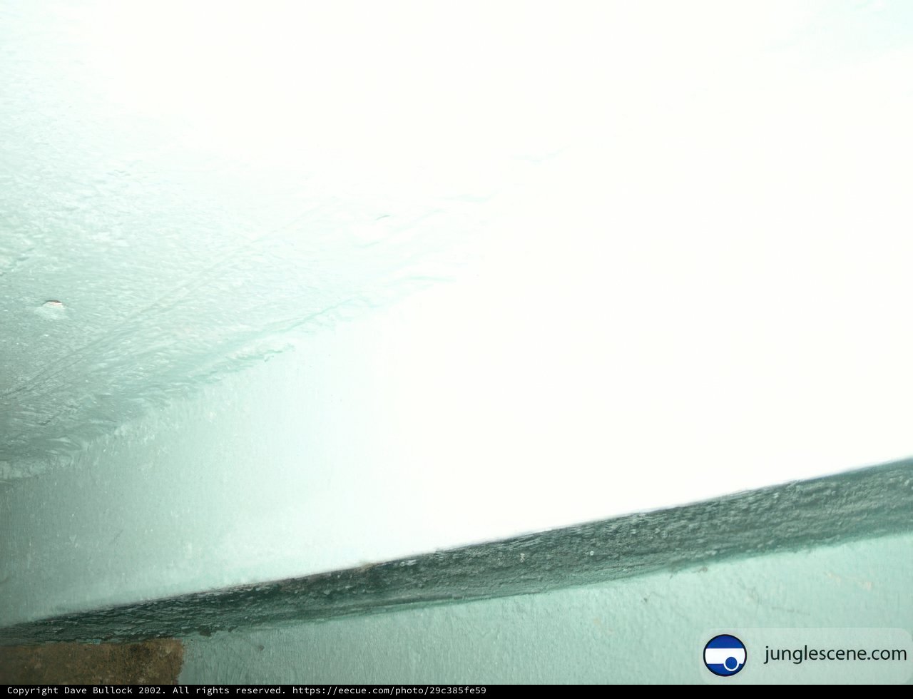 Window to the Ocean