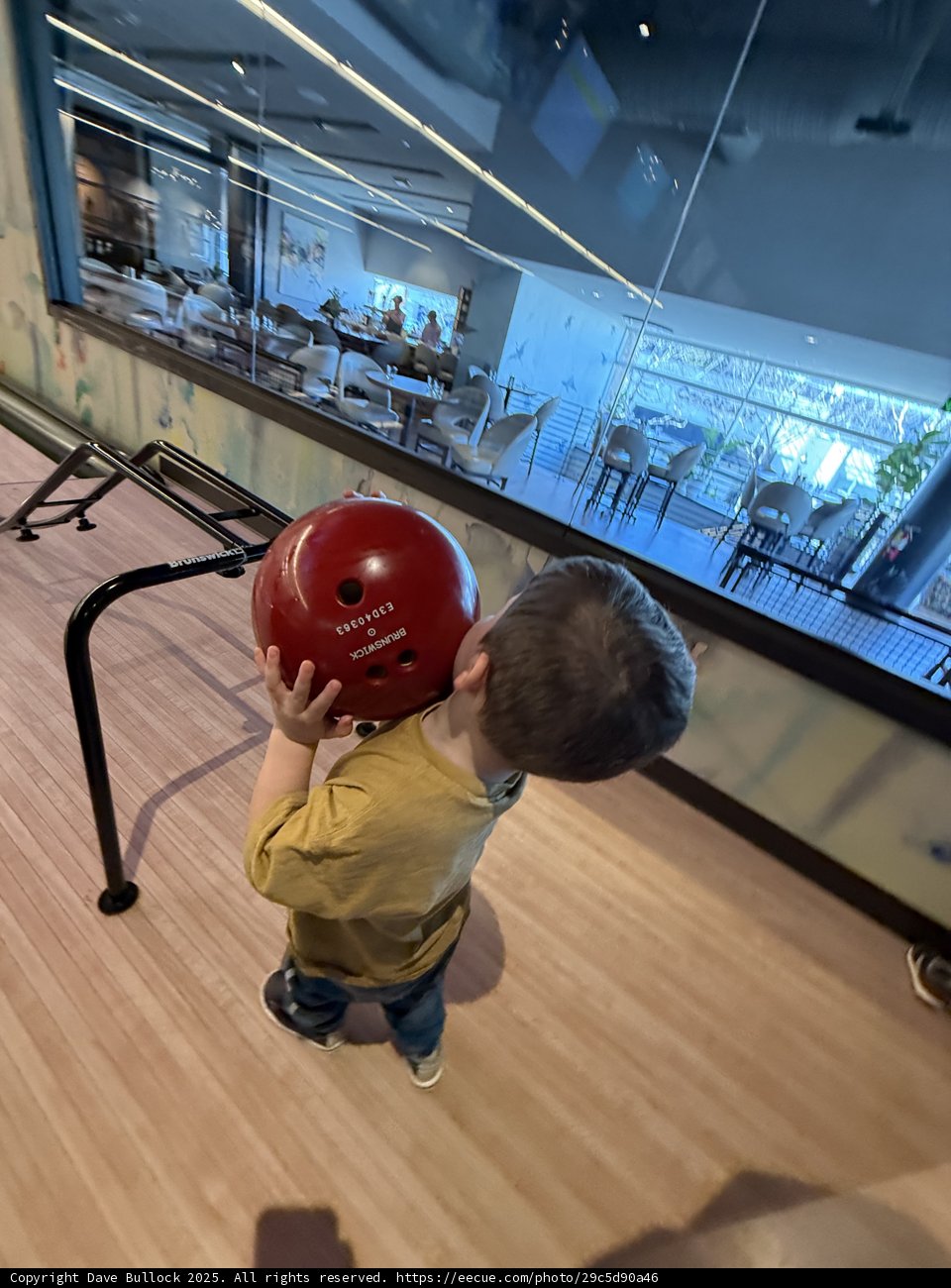 Little Bowler's Big Moment