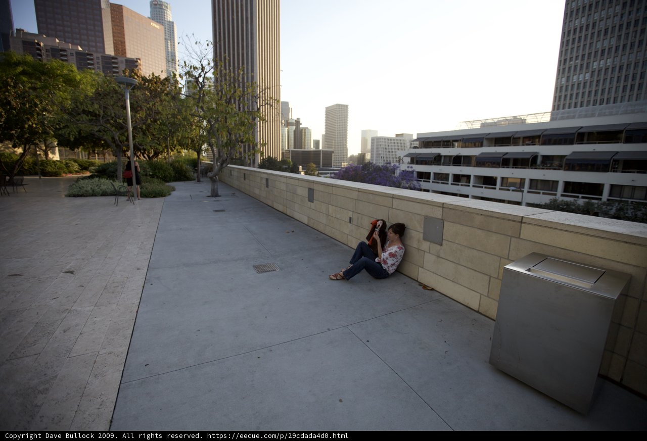 Concrete Jungle