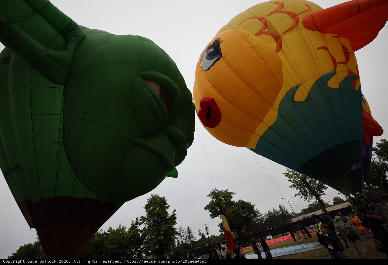 Giant Character Balloons Face Off at Festival