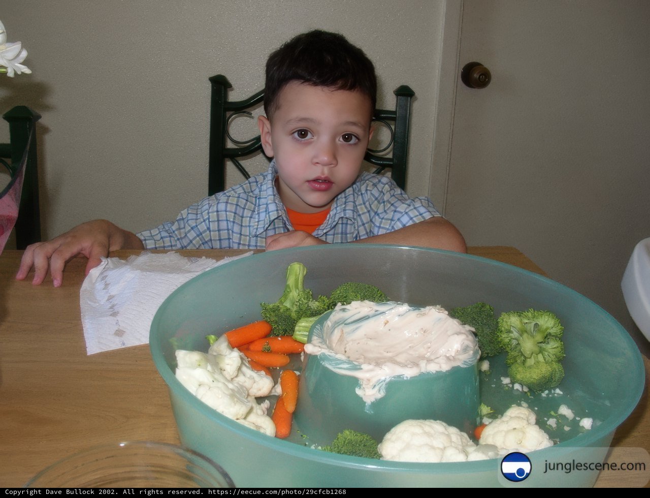Inquisitive Boy Enjoys Vegetables