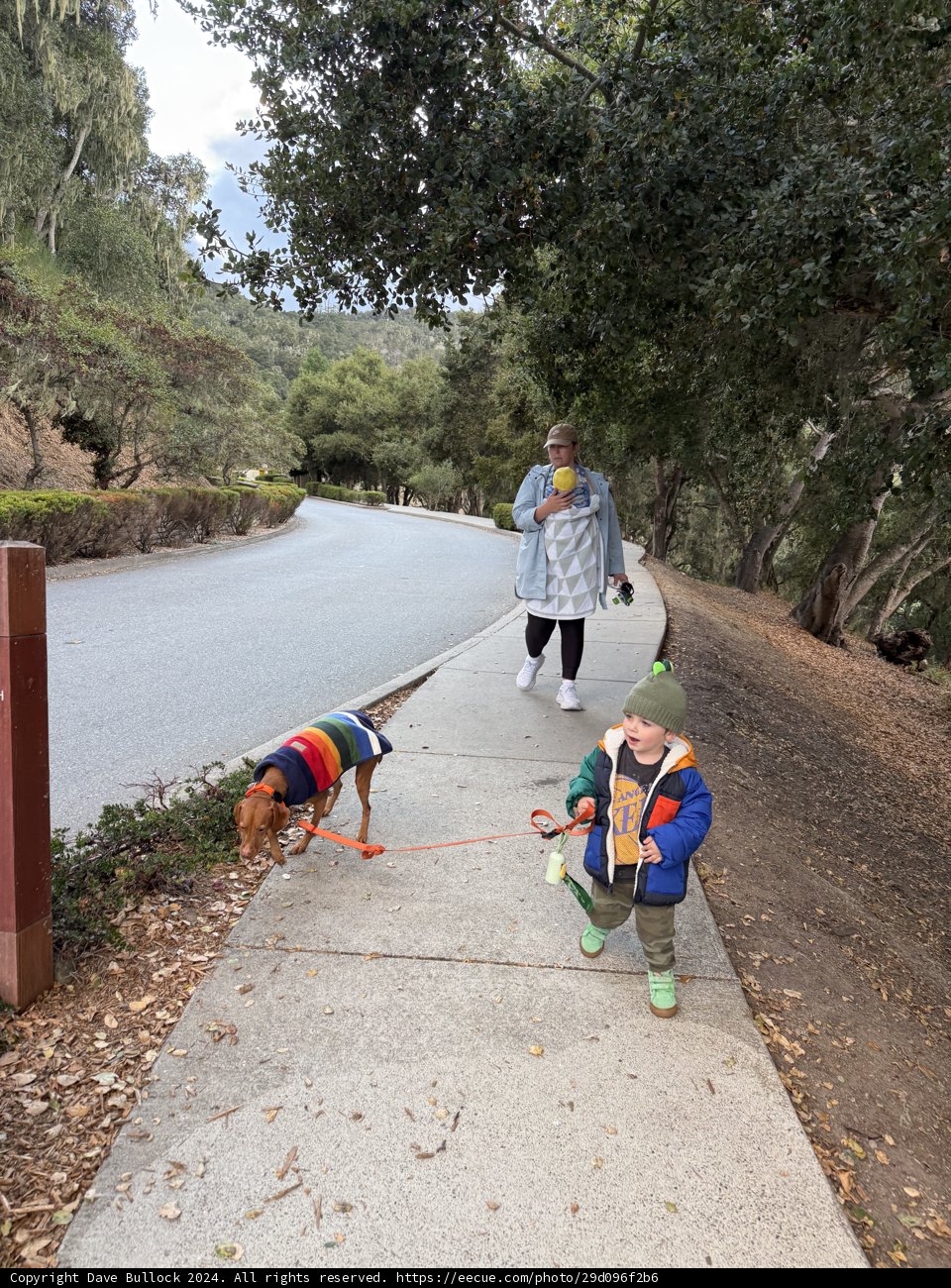 Stroll Through Carmel Valley