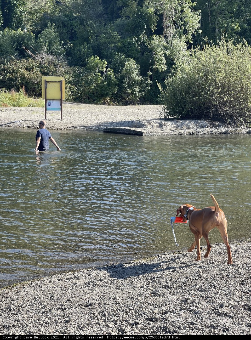 Summer Fun at Monte Rio Beach