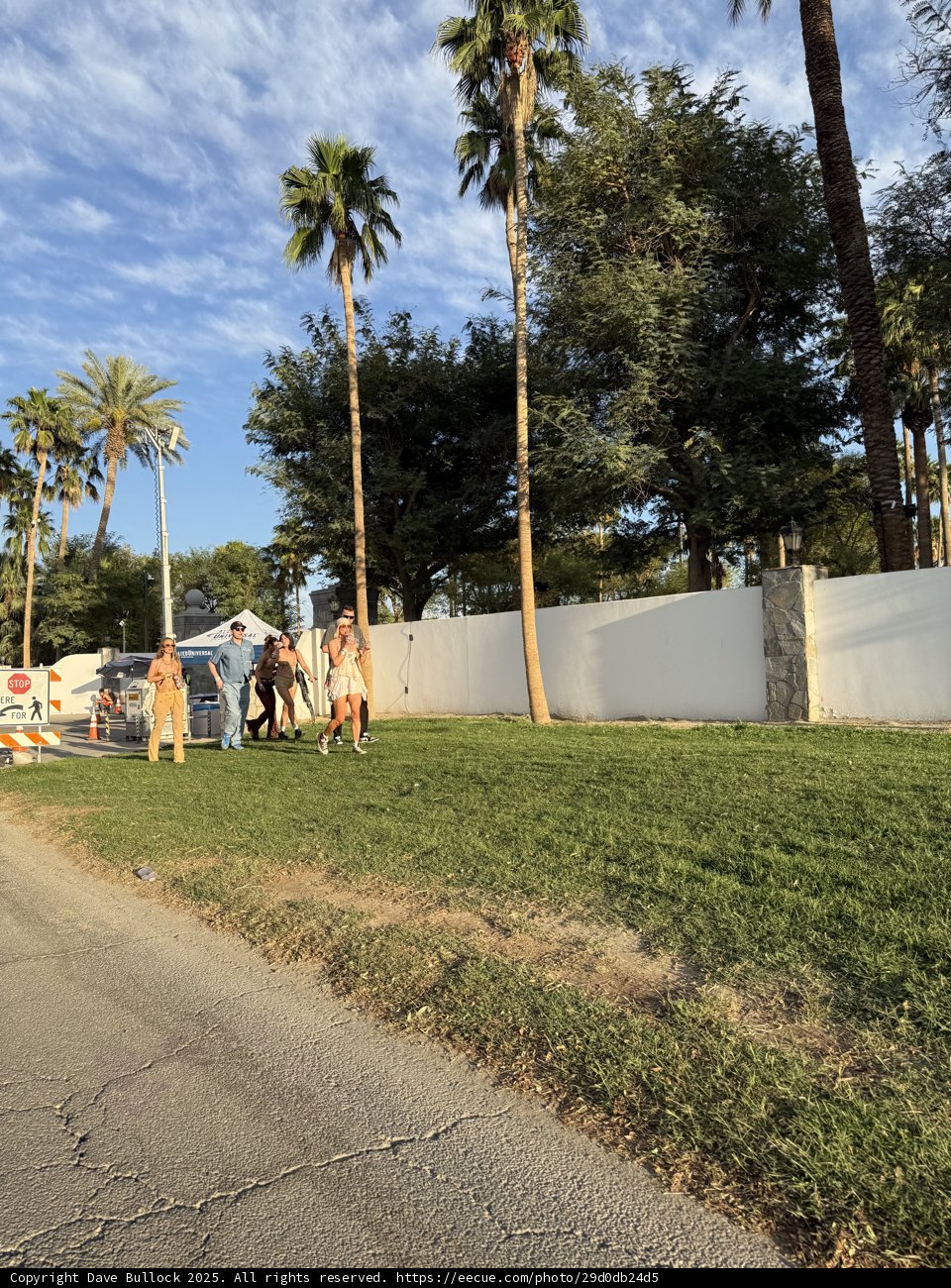 Strolling Under the Palms