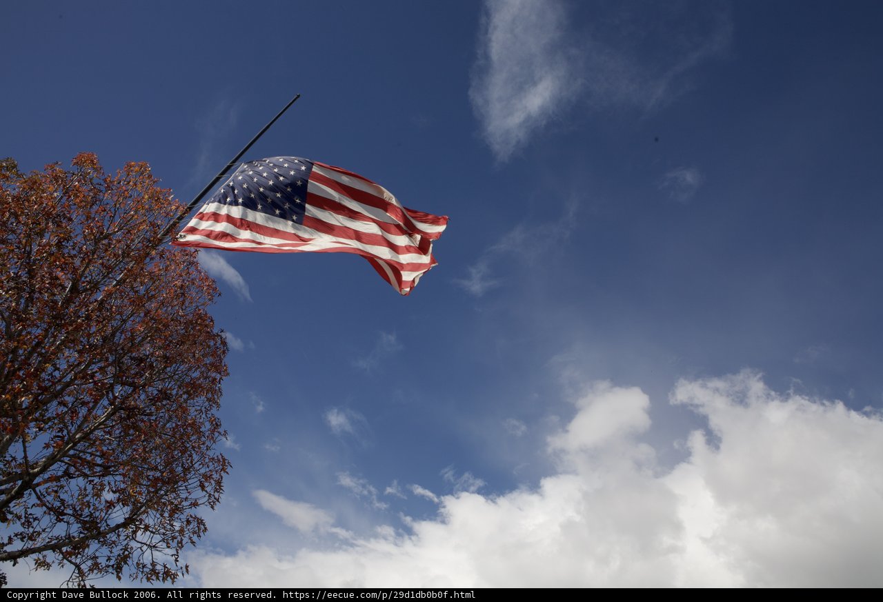 Proudly Waving in the Wind